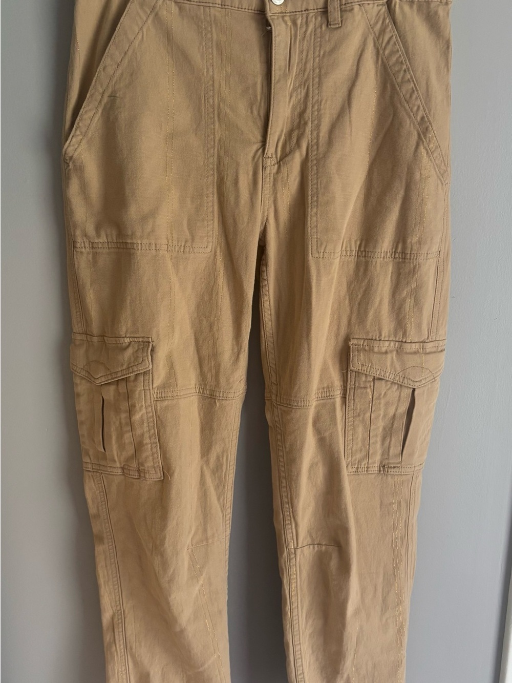 Anthropologie Pilcro Khaki Gold Shimmer “The Wanderer” Cargo Utility Size 4